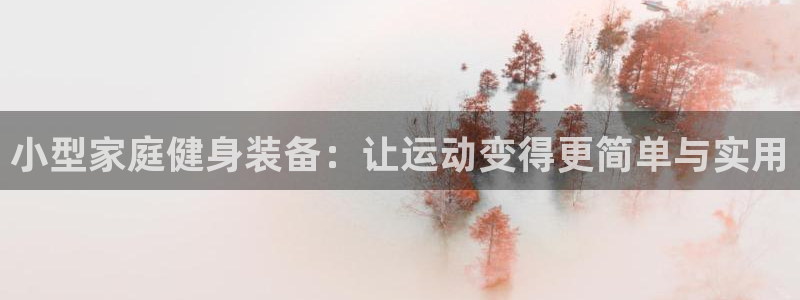 米兰体育官网下载平台假的吗是真的吗:小型家庭健身装备:让运动