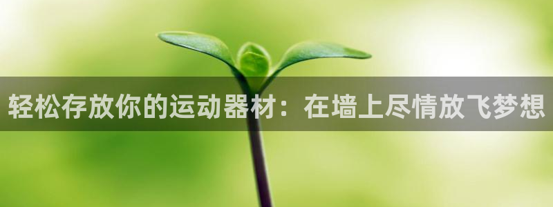 米兰体育官网下载招商电话号码是多少:轻松存放你的运动器材:在